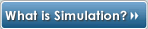 What is Simulation