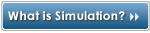 What is Simulation